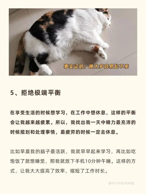 我想起来了梗出自哪里-梗出自哪里想起来了