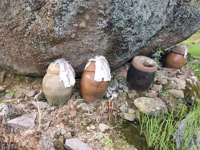 梦见迁坟捡骨头_1