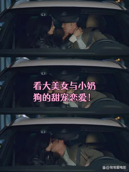 恋爱定理电影-
