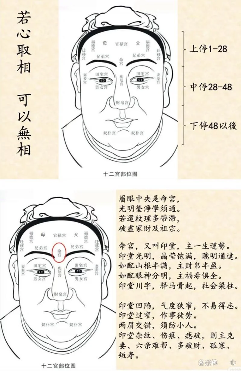 什么样的面相财运好_1