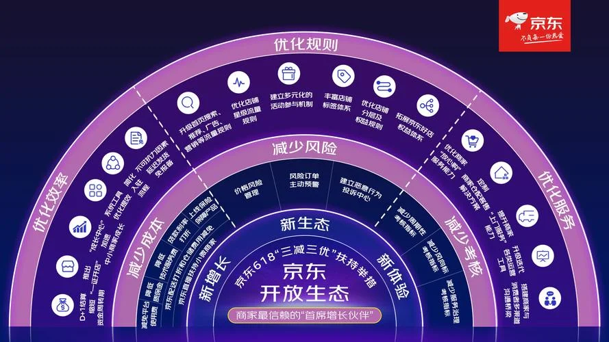 京东公司经营战略简介-