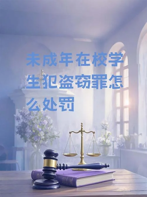 什么是盗窃罪的教唆犯_2