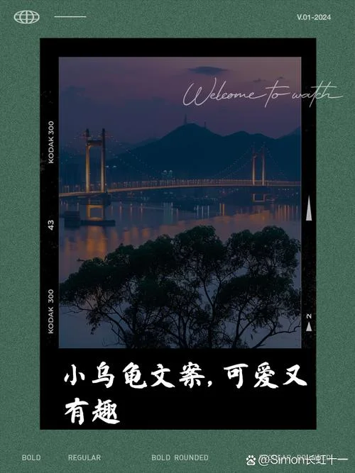 梦见你的搞笑文案乌龟_1