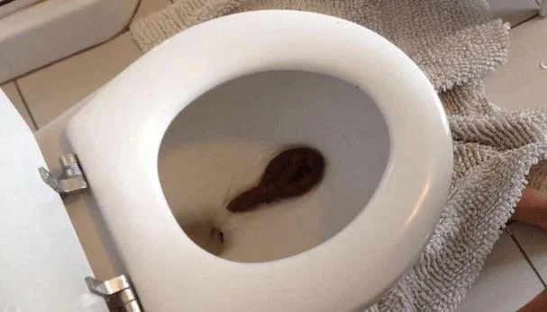 梦到厕所坏了_1