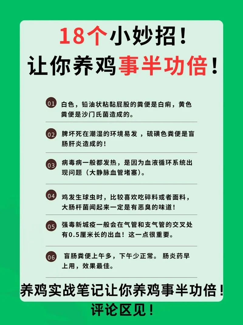 土鸡养殖项目计划书_1
