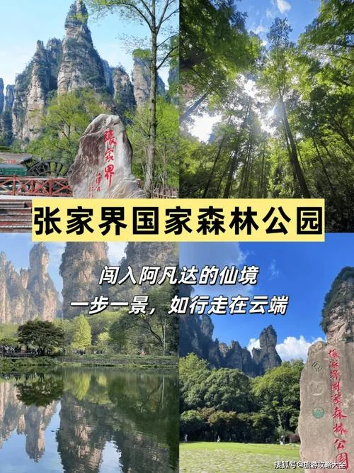 张家界4日游一次多少钱-张家界四日游价格