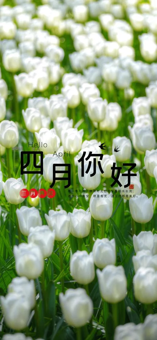 四月第一天的说说-四月第一天说说