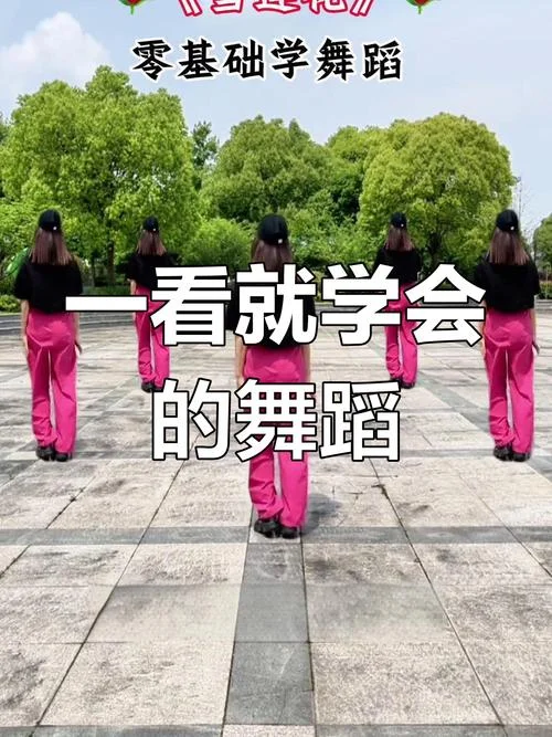怎么学广场舞最好学_1