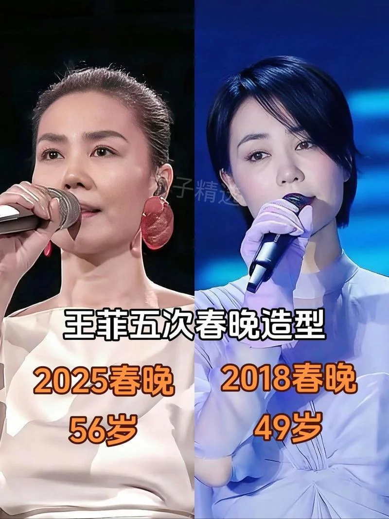 王菲重庆演唱会是哪年-王菲重庆演唱会年份
