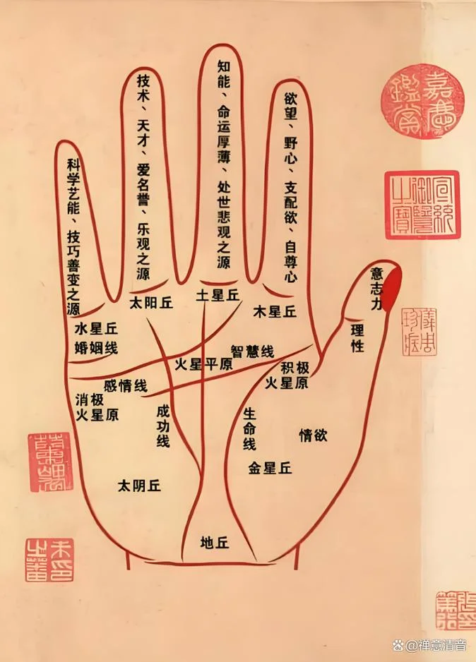 手相决定了命运吗-命运由手相决定