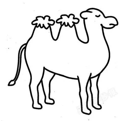 骆驼的简笔画_1