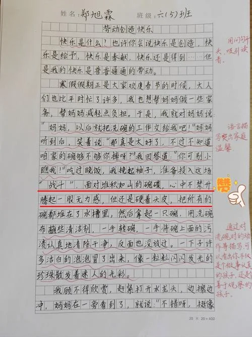 350字周记做家务-家务劳动周记