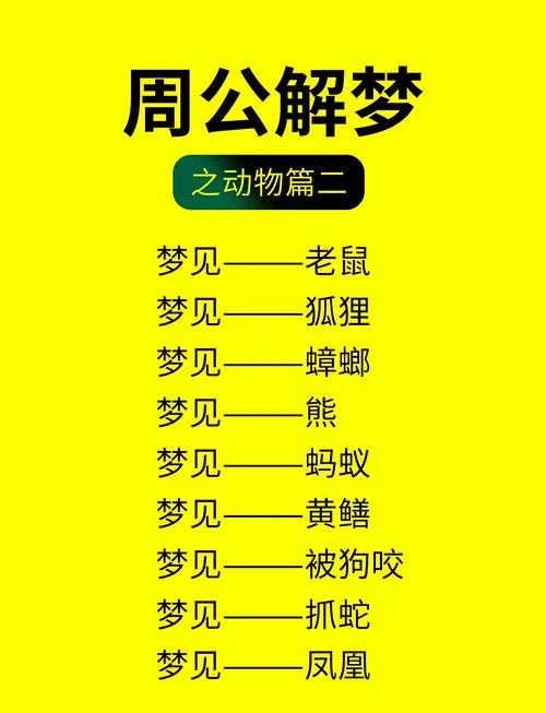 做梦梦到兔子是什么意思-梦见兔子寓意