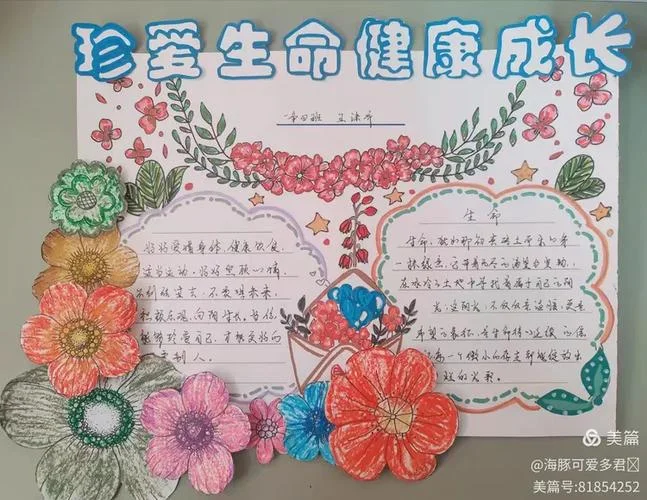 珍惜生命的手抄报内容_1