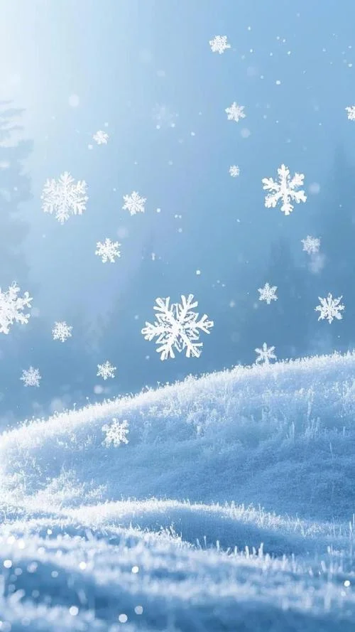 梦到雪花_2