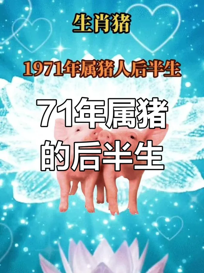 83年属猪2019年运势_2