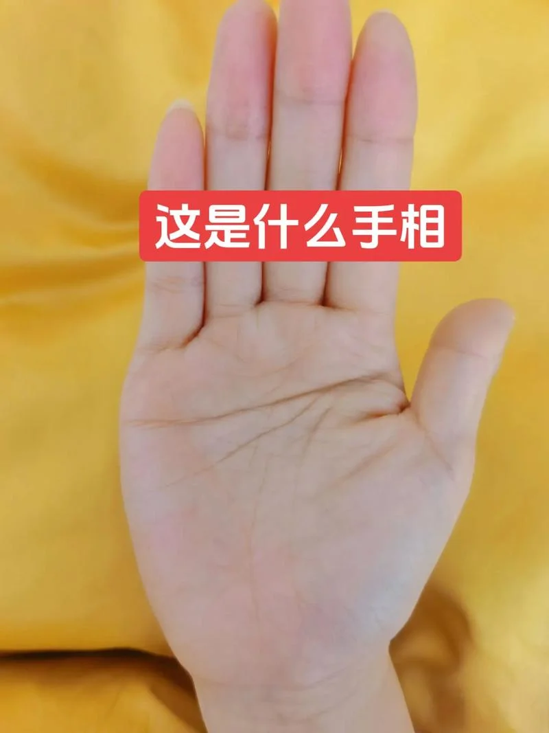 女孩子断掌手相_1