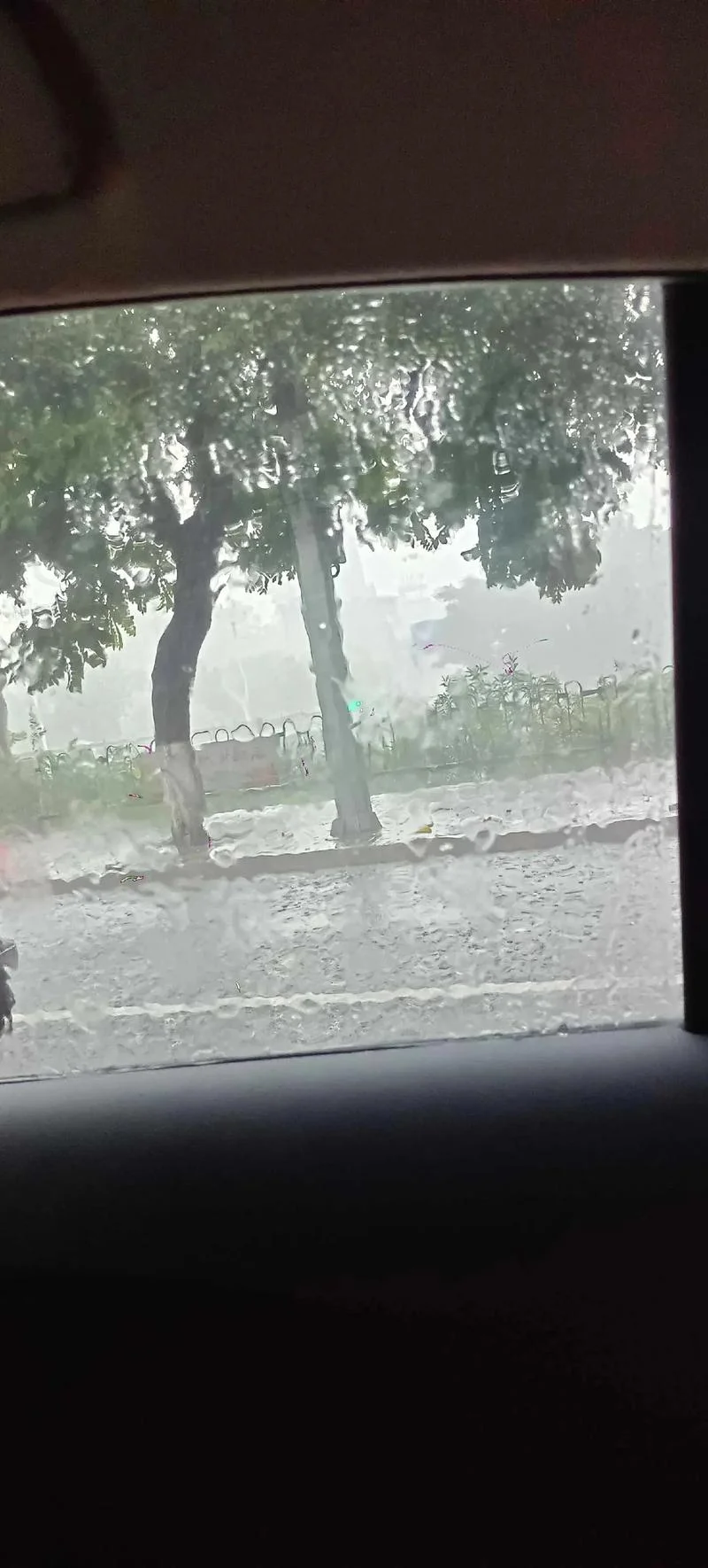梦见在家里外面狂风暴雨_1