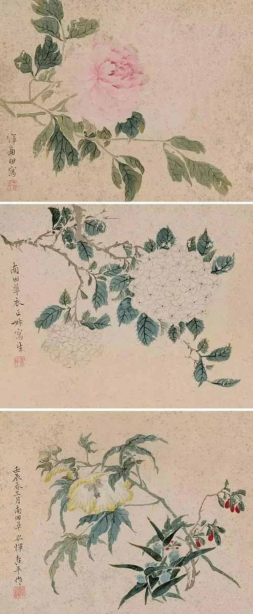黄花羞作无情死下一句-黄花羞作无情死