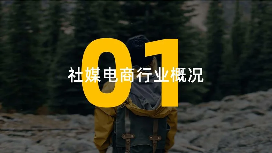 电商运营读后感_1