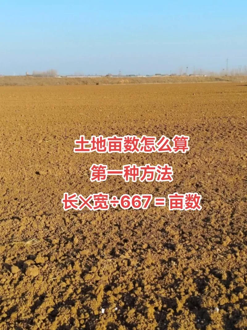 一亩一亩等于多少平方米_2