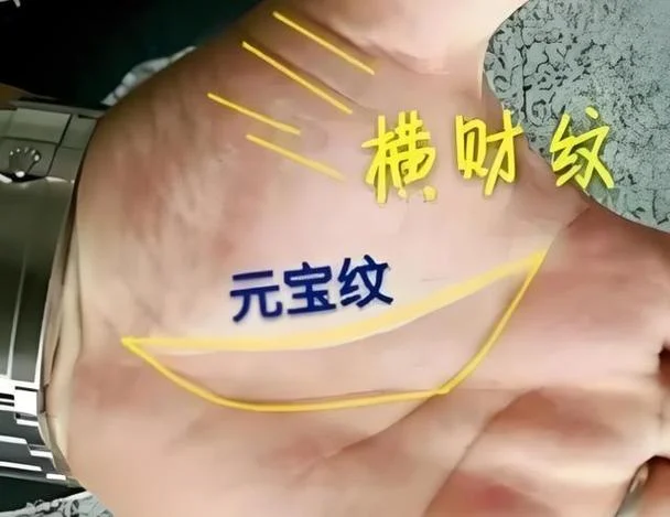 手相小金库啥意思_2