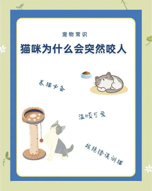 梦见猫咬脚是什么意思-梦见猫咬脚寓意