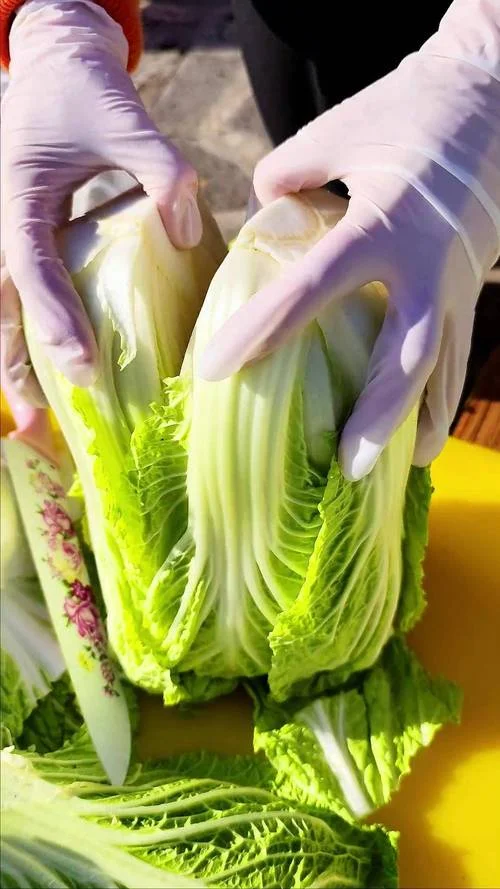 梦到亲戚送白菜_1