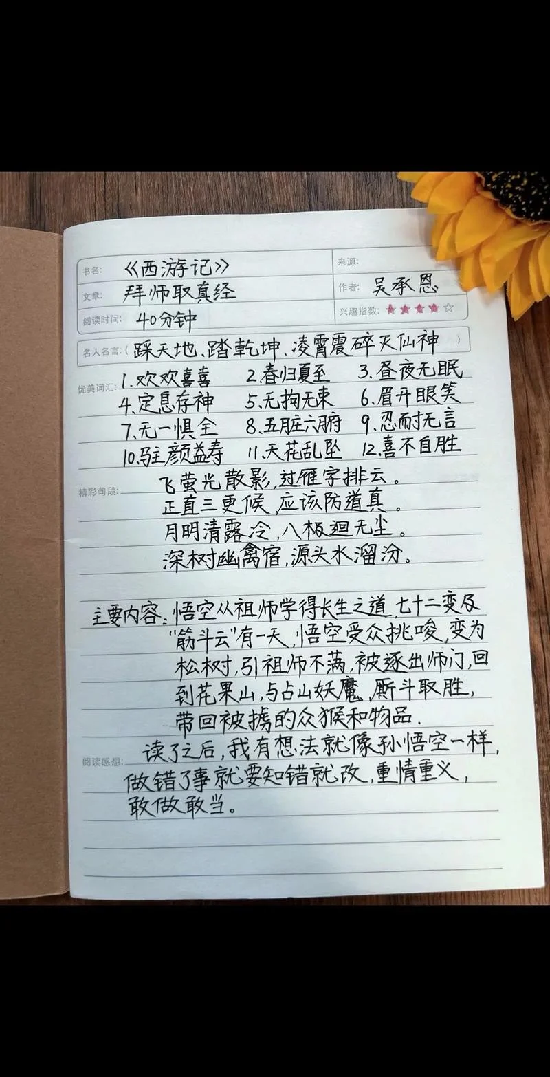 神秘的女老师读书笔记-神秘女老师读书笔记