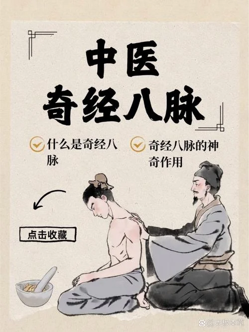 中医的经络是指什么-经络是中医的特定路径