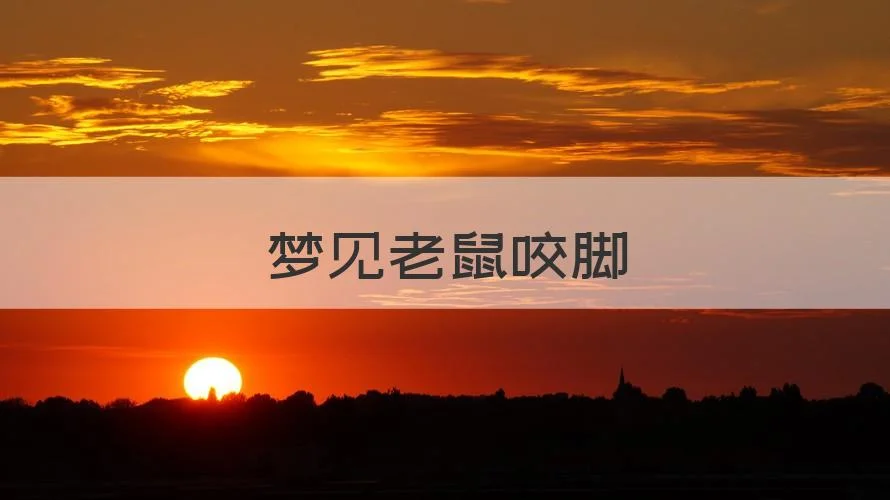 做梦被老鼠咬了脚是什么意思_1