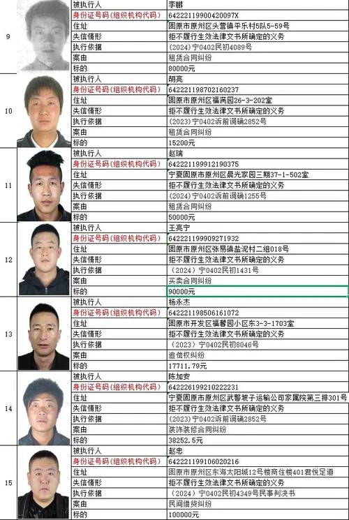 老赖名单在哪查_2