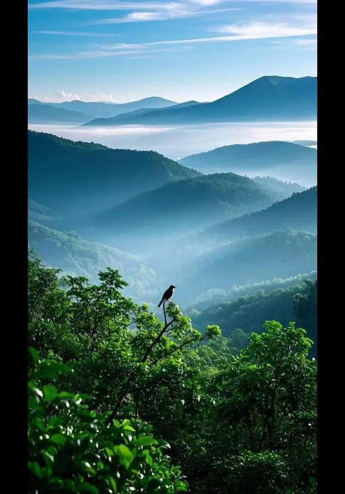 莫干山几月份景色最美-莫干山四季皆美