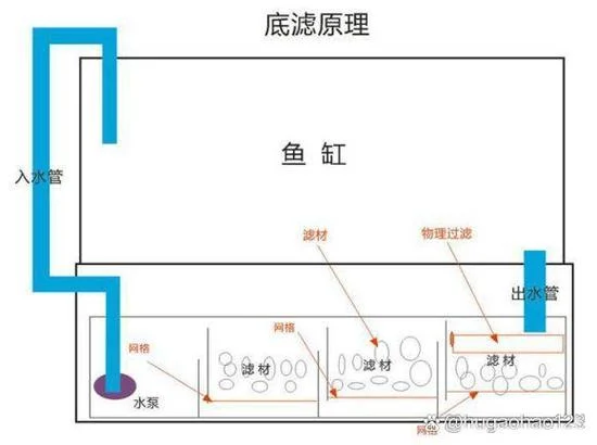 鱼缸滤筒原理-鱼缸滤筒工作原理