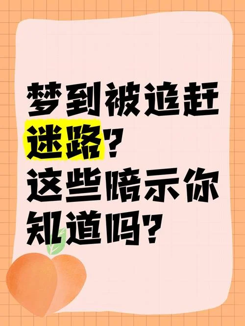 梦到自己迷路是什么征兆_2