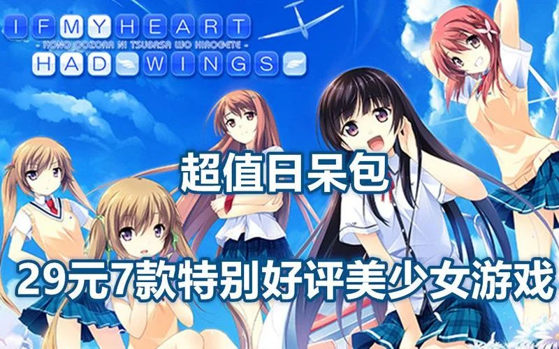 steam双人包怎么用_1