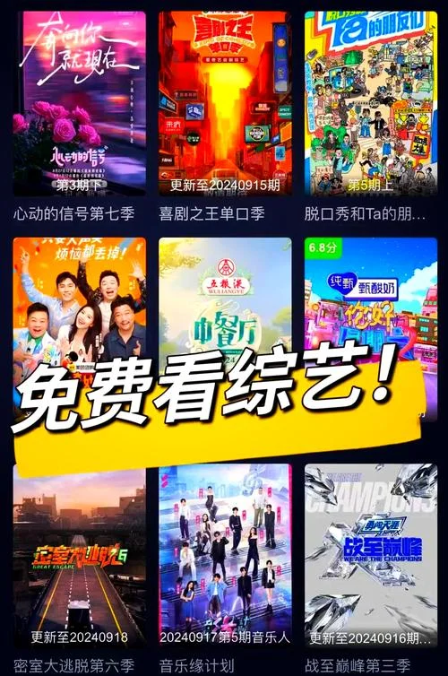 看综艺是什么意思-看综艺的含义