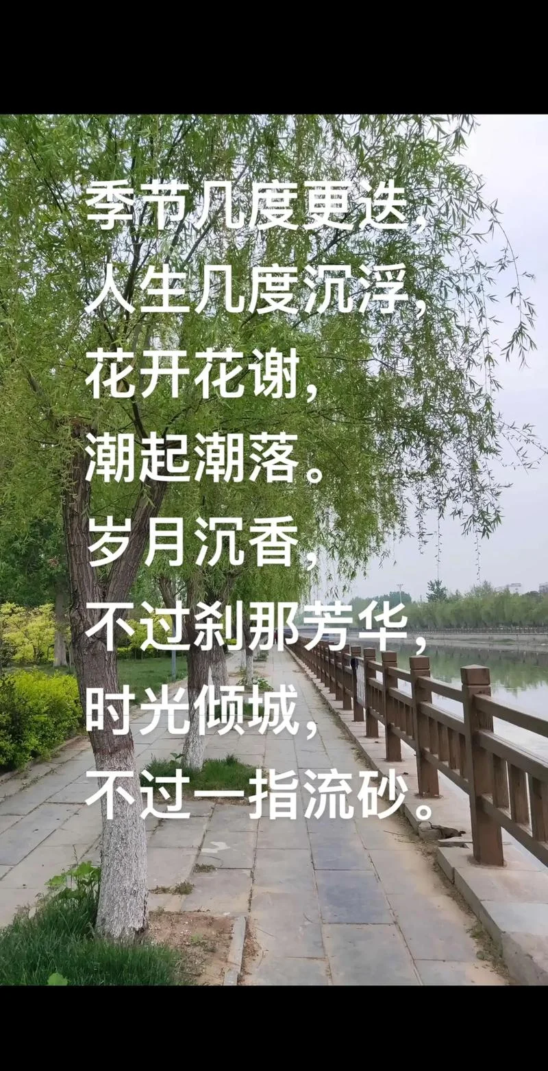 我等清风徐来下一句-清风徐来意已远