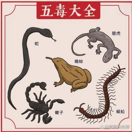 虎毒不食子出自-虎毒不食子出自