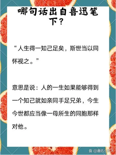 知己是什么意思呢_1