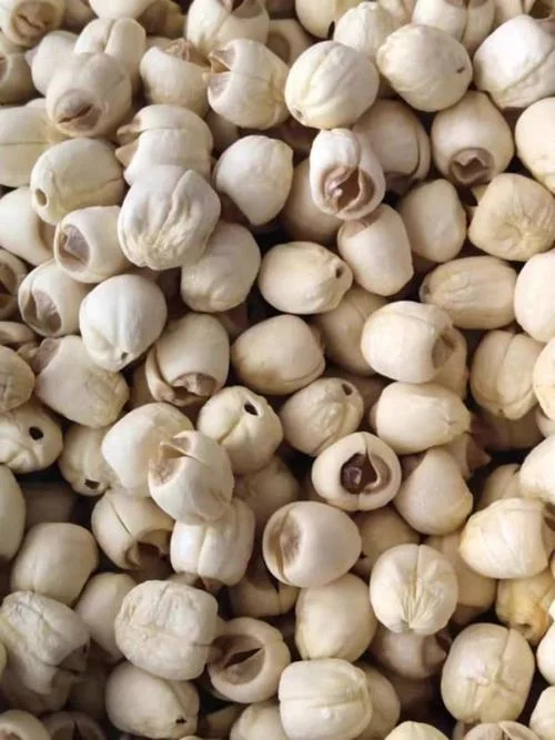 种一亩莲子要多少成本-一亩莲子成本