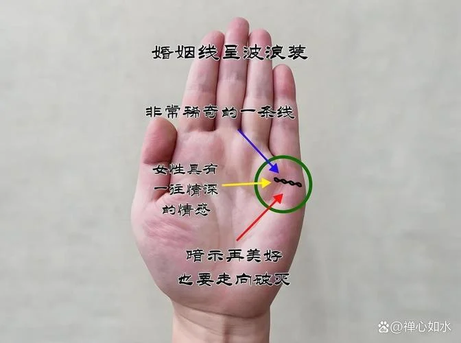手相手指短手掌长-短指长掌