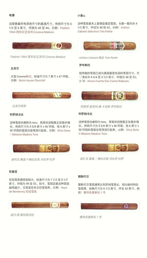 雪茄多少钱左右_1