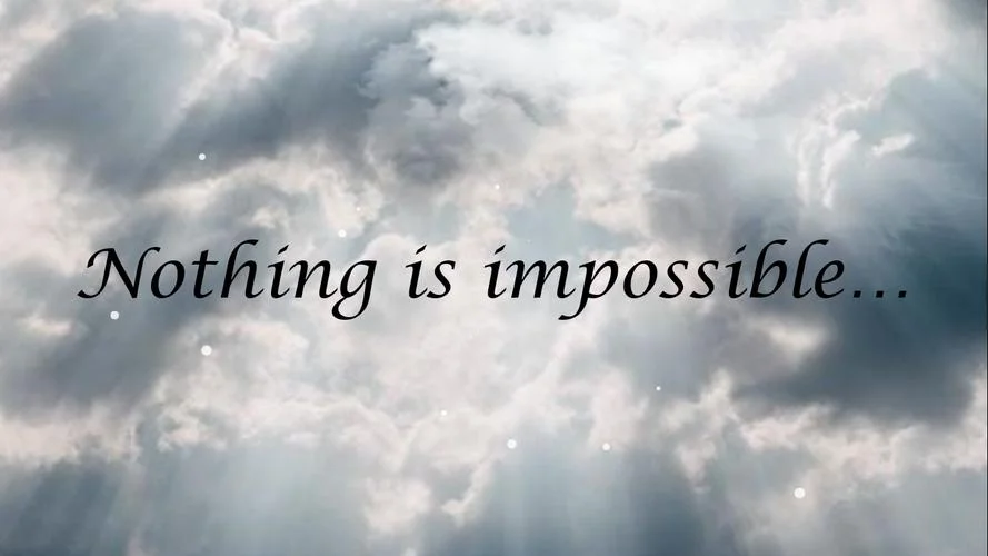 impossible什么意思_2