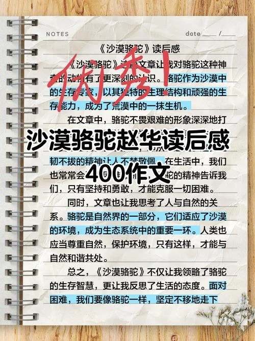 创意思维读后感-创意思维读后感精读
