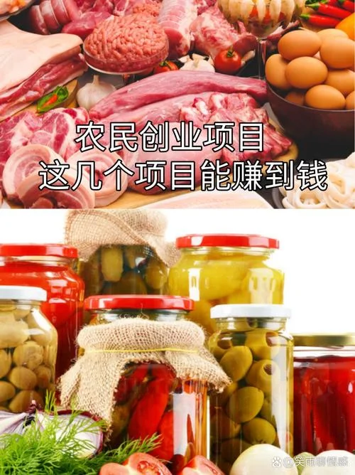 上什么项目挣钱_2