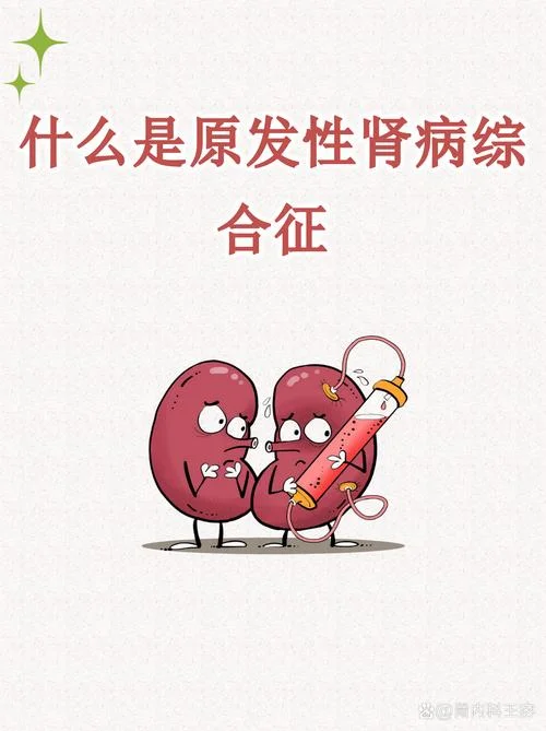 肾棕和热是个什么病-肾棕热病是什么