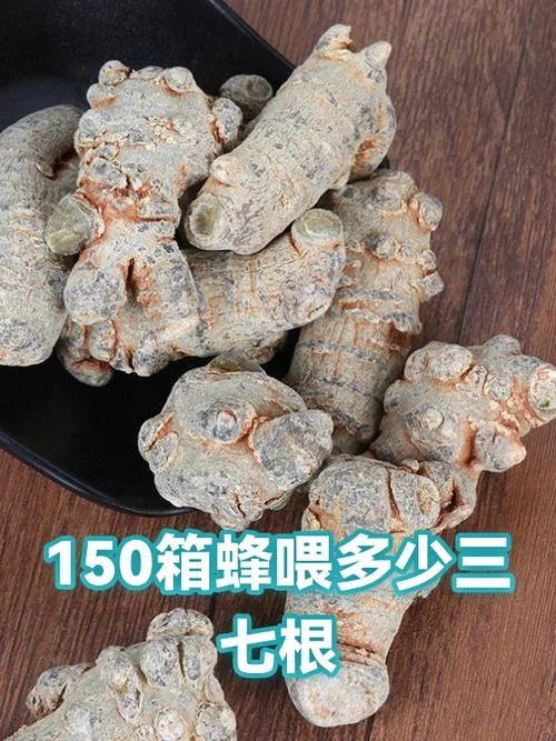 三七根多少钱一斤_1