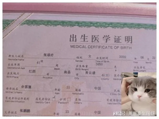 出生证医学证明怎么查_2