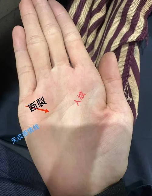 扫一扫掌纹手相_2